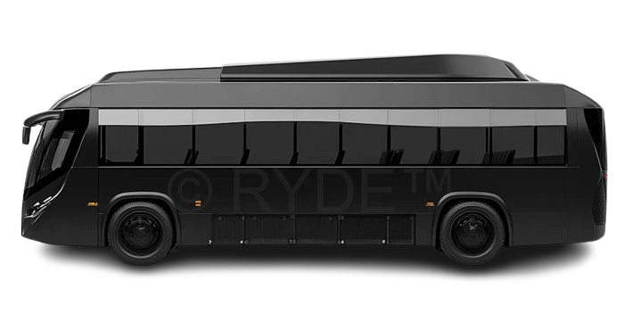 30-Passenger Party Bus